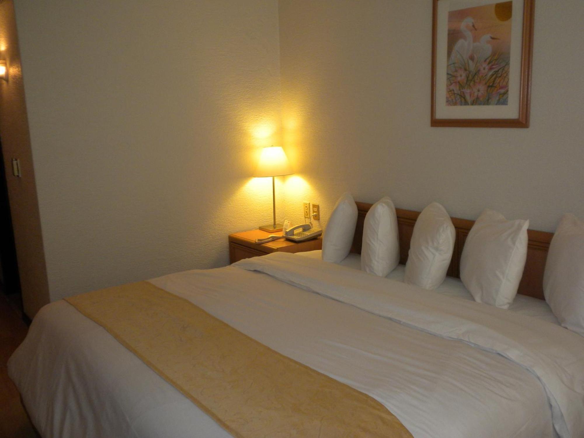 Hotel Pf Mexico